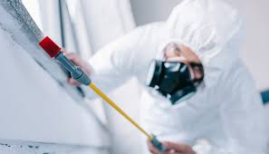 Professional Pest Control in Cumings, TX